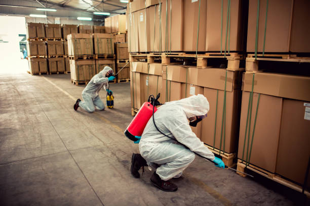 Best Rat Extermination Near Me  in Franklin Farm, VA