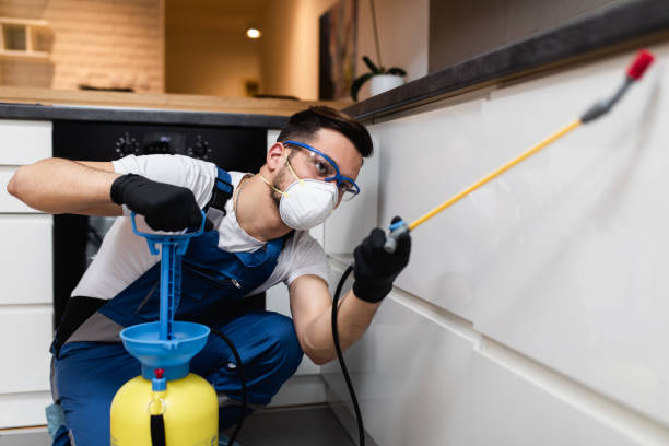 Best Affordable Pest Control Services  in Franklin Farm, VA