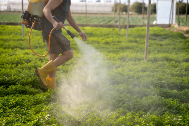 Best Pest Removal Services  in Franklin Farm, VA