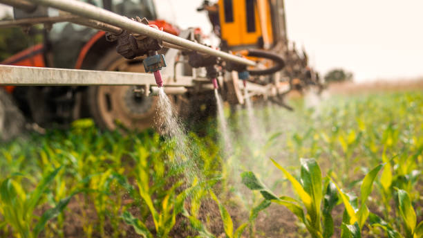 Best Pest Control Cost  in Franklin Farm, VA