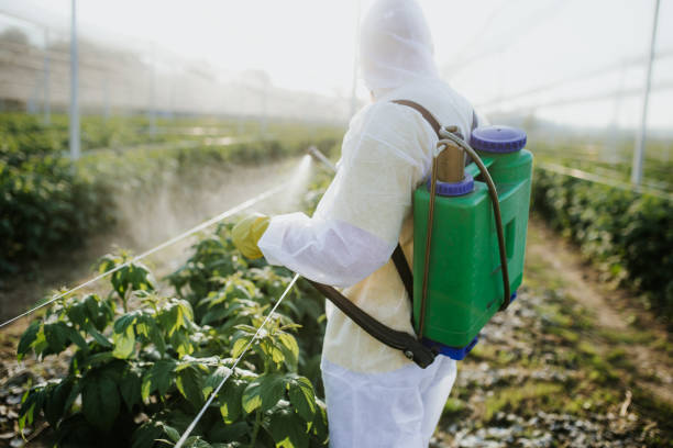 Best Insect Control  in Franklin Farm, VA